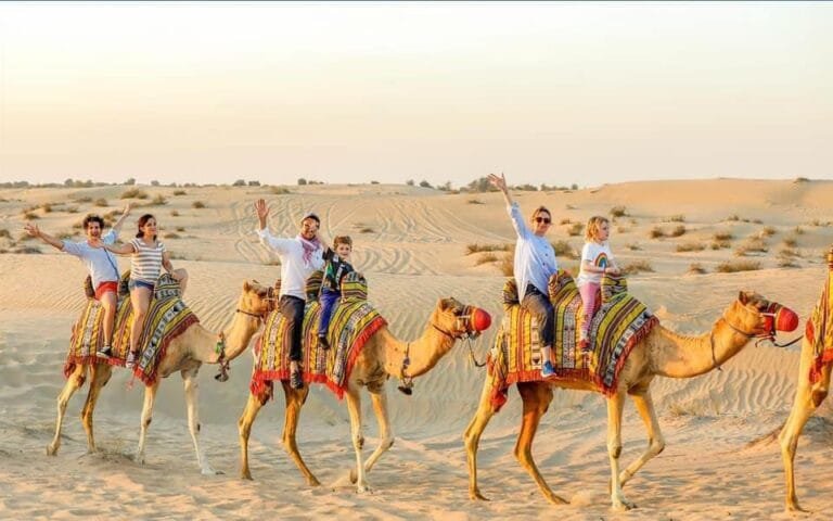 Desert safari shisha hookah lounge