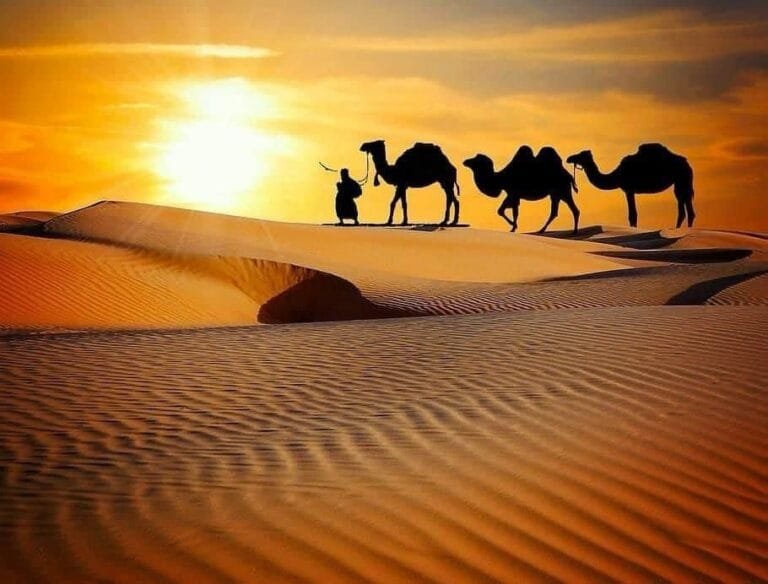 desert safari quad bike adventure