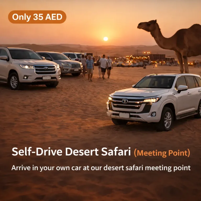 Desert safari henna painting cultural