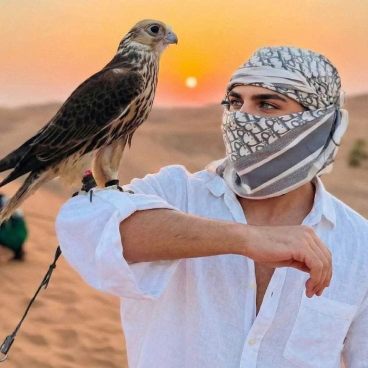 Falcon perched on a guest glove at the Abu Dhabi desert safari camp