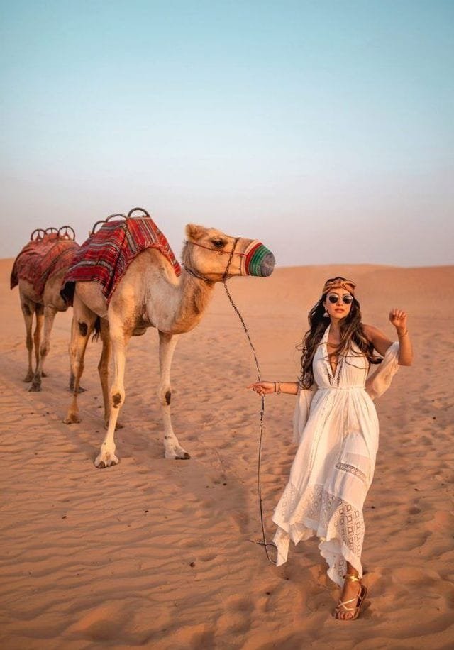 camel desert safari