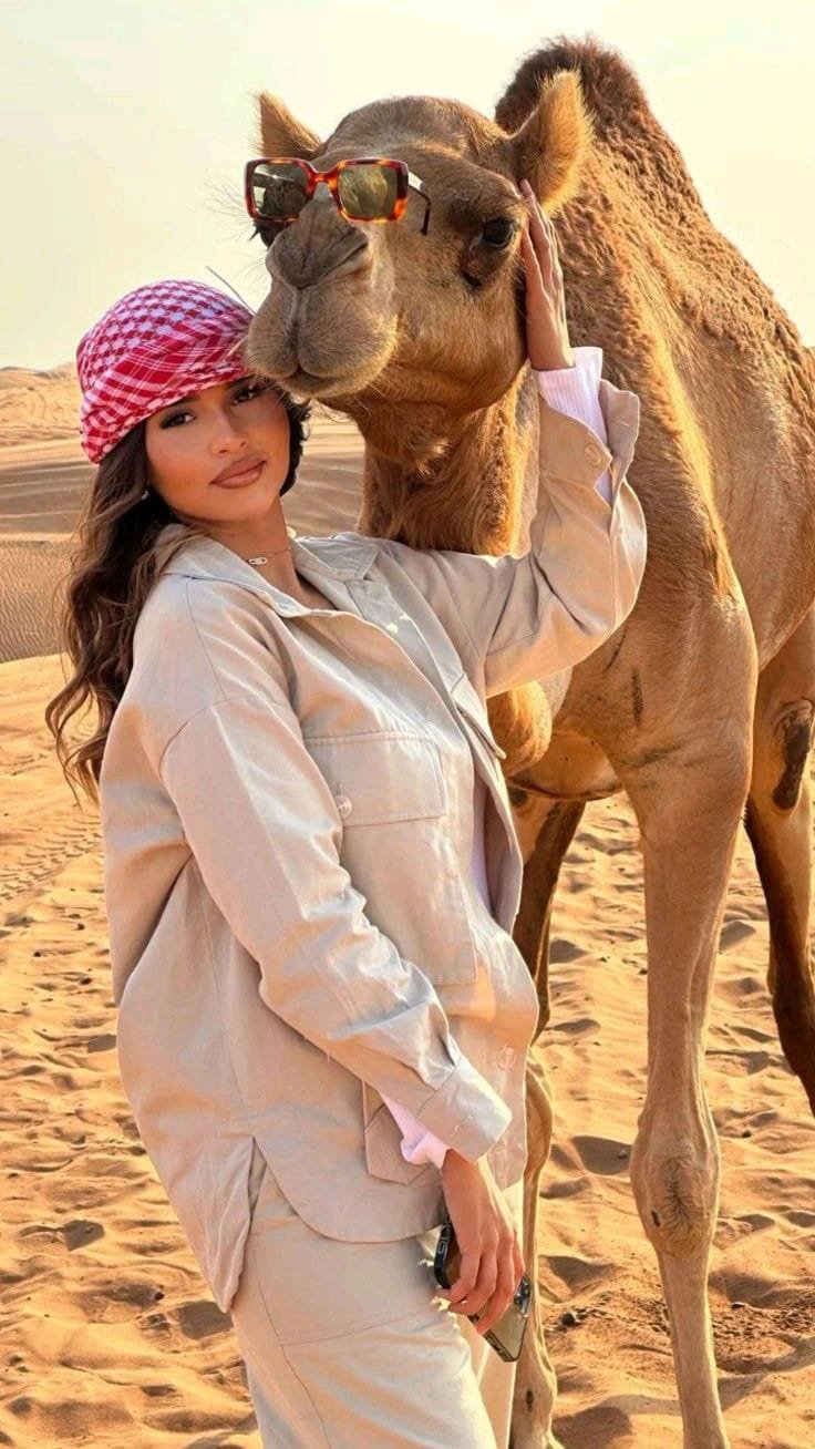 Meeting a camel up close — camel ride Abu Dhabi