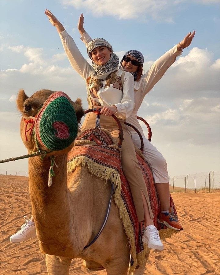 Traditional camel in the Abu Dhabi desert, symbol of Emirati heritage